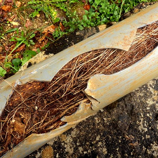 Same Day Drain Sewer & Rooter Pros Across Belmont